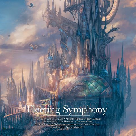 Vinyle Fleeting Symphony 2lp
